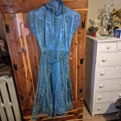 Vintage Ladies Dress