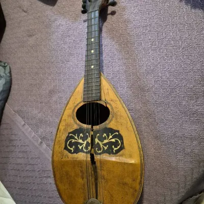 Antique bowl-back (or tater bug) mandolin,