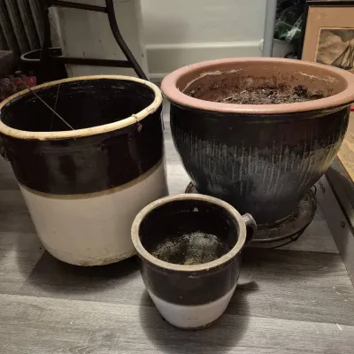 Trio Of Crocks