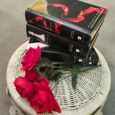 Twilight Series Hardback Books
