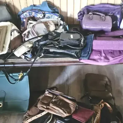 Mystery Lot of Purses