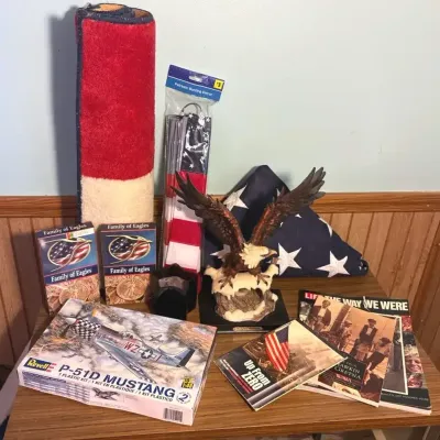 Eagle From Montefiori Collection, Model Plane, Flags, And More