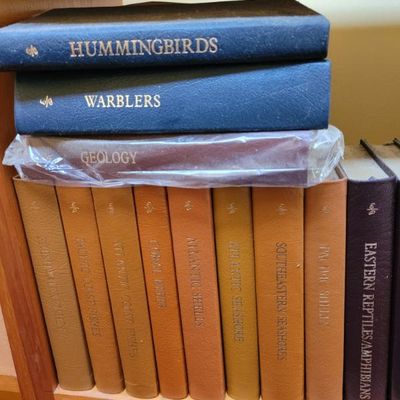 Sale Photo Thumbnail #224