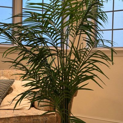 ARTIFICIAL TREE WITH WOVEN BASKET AND CALLAWAY RUG