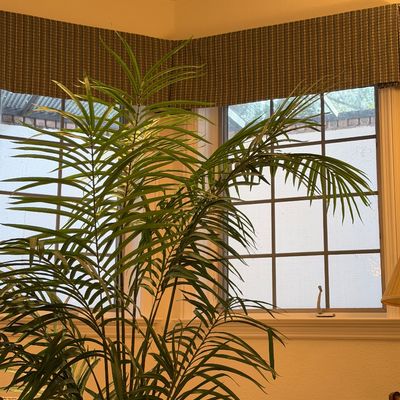 ARTIFICIAL TREE WITH WOVEN BASKET AND CALLAWAY RUG