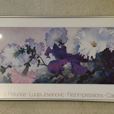 LUCIJA JOVANOVIC “SHILEY’S PETUNIAS” FRAMED PICTURE