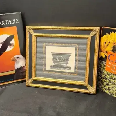Bobby Sikes Art Print & Literature - Framed, American Eagle Leeson, Cacti Identifier Schneck