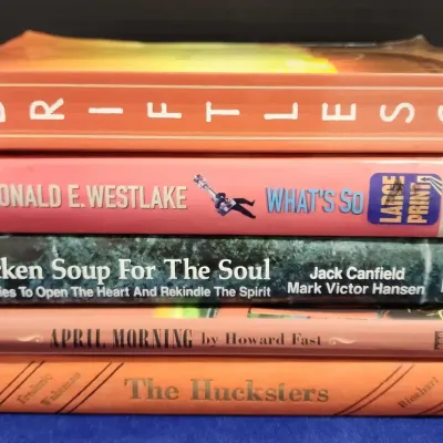 5 Hardbacks - Driftless, Chicken Soup For The Soul, The Hucksters, April Morning, 