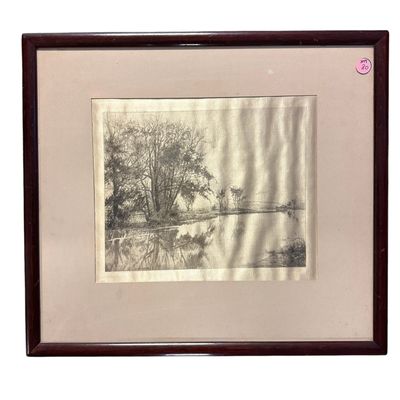ANTIQUE FISCHEL ADLER SCHWARTZ 1899 ENGRAVING