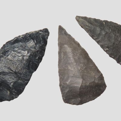 Sale Photo Thumbnail #256: Set of 3 Early Paleo / Archaic Triangular Points, Bell and Surr Co., Texas, 9000-7000 B.P.