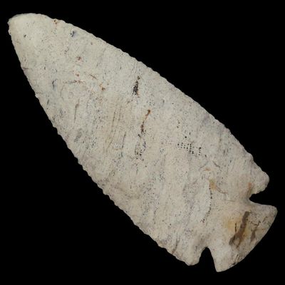 Sale Photo Thumbnail #103: 4 5/16" Outstanding Ocala Hard / Dove, Moline Chert, Kane Co., Illinois, Ex. Jeff Hipskind