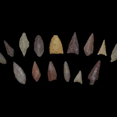 Sale Photo Thumbnail #568: Collection of 15 Neolithic Arrowheads, Western Africa, 4000-6000 BP