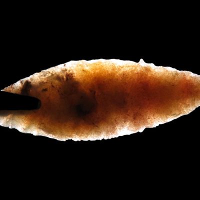 Sale Photo Thumbnail #578: 1 1/4" High Grade Neolithic Arrowhead, Western Africa, 4000-6000 BP