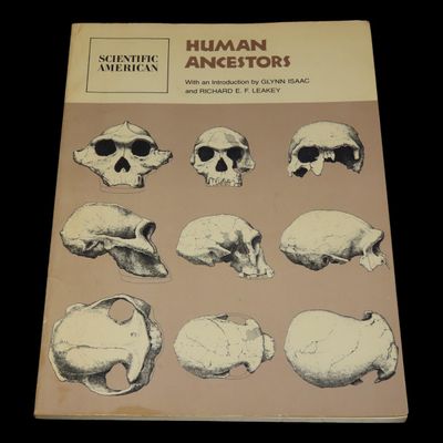 Sale Photo Thumbnail #536: Human Ancestors, Scientific American