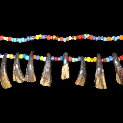 Sale Photo Thumbnail #383: Animal Tooth / Claw Necklace
