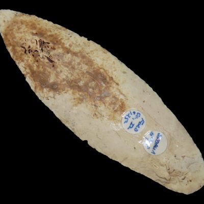 Sale Photo Thumbnail #119: 5 13/16" Wide Sedalia, Burlington Chert, Ford Co., Illinois, Heavily Patinated, Ex. Don Scott, Ex. Jeff Hipskind Collection