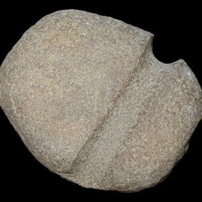 Sale Photo Thumbnail #95: 6" Large Three Quarter Grooved Maul, Jersey Co., Illinois, Big and Heavy