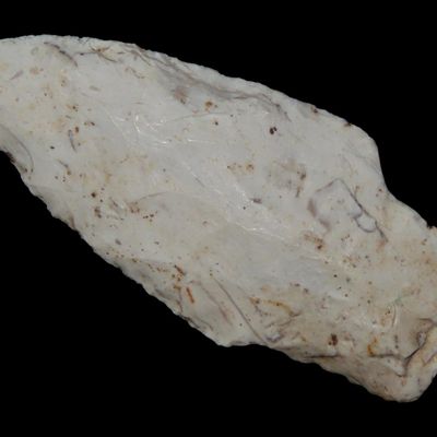 Sale Photo Thumbnail #503: 2 3/4" Square Stem, Northern Illinois, Ex. Jeff Hipskind