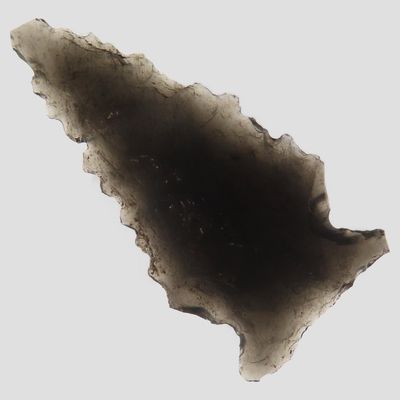 Sale Photo Thumbnail #453: 1 3/8" Elko Corner Notch, Quality Obsidian, Oregon, Ex. Denis Burger