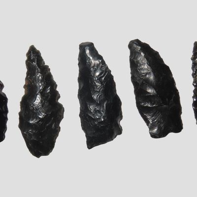 Sale Photo Thumbnail #454: Lot of 5 Cascade Points, Quality Obsidian, Oregon, Ex. Denis Burger
