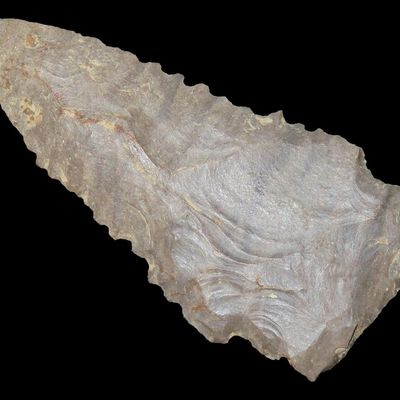 Sale Photo Thumbnail #479: 2 3/8" Serrated Pine Tree, Dover Chert, Central Tennessee, Ex. Dickey