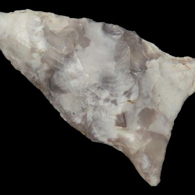 Sale Photo Thumbnail #773: 1 7/8" Dalton, Springfield, Missouri, Found by Ronald Schumate, 10,000-9000 BP