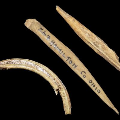 Sale Photo Thumbnail #465: Lot of 3 Bone Artifacts, Hamilton Co., Ohio