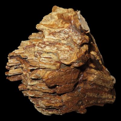 Sale Photo Thumbnail #277: 4 3/4" x 5" Mammoth Tooth, Alaska