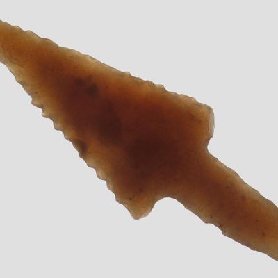 Sale Photo Thumbnail #615: 1 7/8" High Grade Neolithic Arrowhead, Western Africa, 4000-6000 BP
