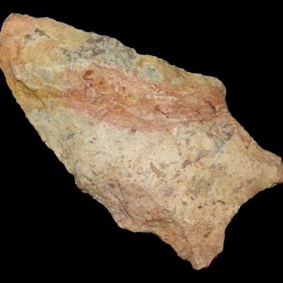 Sale Photo Thumbnail #705: 2 3/8" Florida Arrowhead, Ex. Walt McIntire Collection