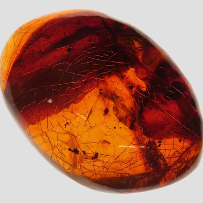 Sale Photo Thumbnail #648: Fossil Amber, Europe, Ex. Private Pennsylvania Collection
