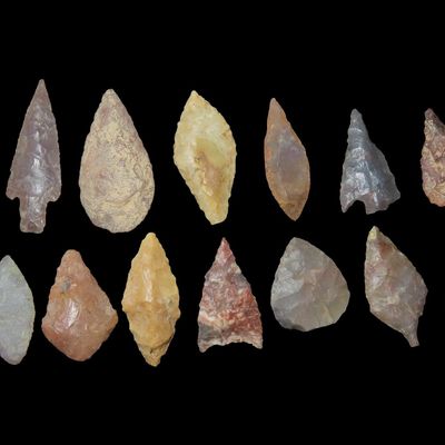 Sale Photo Thumbnail #647: Collection of 15 Neolithic Arrowheads, Western Africa, 4000-6000 BP