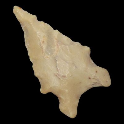Sale Photo Thumbnail #767: 1 1/2" Graham Cave Fox Ear Style, Early Archaic, Louisiana / Texas, 9000-5000 BP, Found by Joshua Ream, Ex. Jim Bennett