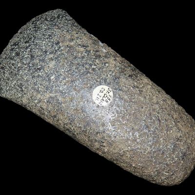 Sale Photo Thumbnail #194: 6 7/8" Flared Bit Celt, St. Clair Co., Illinois, Cahokia, Ex. Charles Wesley