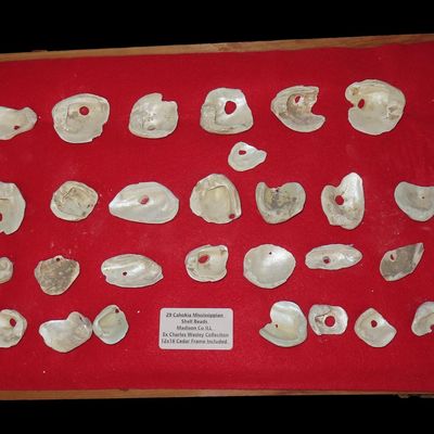 Sale Photo Thumbnail #348: 12" x 18" Frame of Cahokia / Mississippian Shell Beads, Madison Co., Illinois, Ex. Charles Wesley Collection