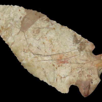 Sale Photo Thumbnail #481: 2 3/8" Stilwell, Galena Chert, Northern Illinois, Ex. Jeff Hipskind