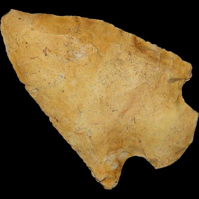 Sale Photo Thumbnail #729: 2" Florida Arrowhead, Ex. Walt McIntire Collection
