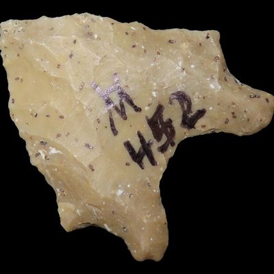 Sale Photo Thumbnail #682: 1 1/8" San Patrice Fluted Transitional Paleo, Louisiana / Texas, 10,000-8,000 BP, Found by Joshua Ream, Ex. Jim Bennett