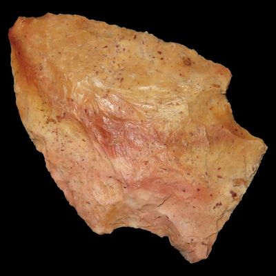 Sale Photo Thumbnail #683: 2 1/4" Florida Arrowhead, Ex. Walt McIntire Collection