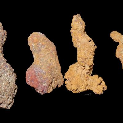 Sale Photo Thumbnail #599: Coprolite Fossil, Madagascar, Reported 100 Million Years Old