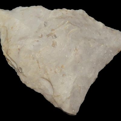Sale Photo Thumbnail #709: 1 3/8" Holland Dalton, Springfield, Missouri, Found by Ronald Schumate, 10,000-9000 BP