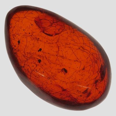 Sale Photo Thumbnail #593: Fossil Amber, Europe, Ex. Private Pennsylvania Collection