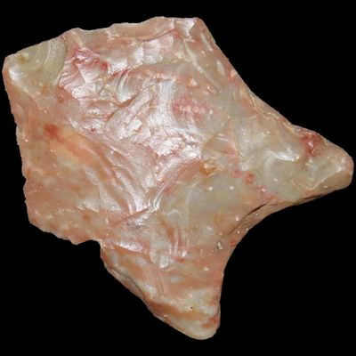 Sale Photo Thumbnail #779: 1 3/4" Pelican, Fluted Transitional Paleo, Louisiana / Texas, 10,000-6000 BP, Found by Joshua Ream, Ex. Jim Bennett