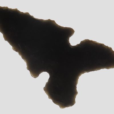 Sale Photo Thumbnail #421: 1 3/8" Northern Side Notch, Gem Obsidian, Eastern Oregon, Ex. Ronald Bowles Collection