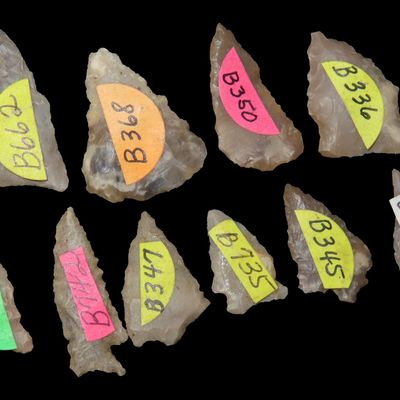 Sale Photo Thumbnail #620: Small Collection of Kentucky / Tennessee Bird Points and Fort Ancient Triangles