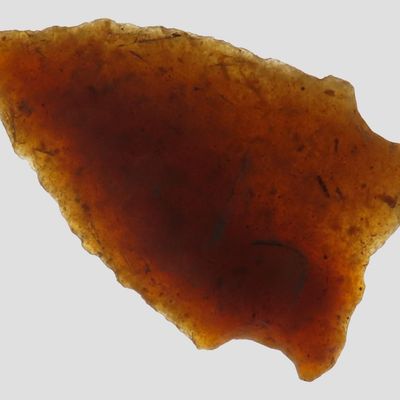 Sale Photo Thumbnail #698: 1 1/8" Translucent Petrified Wood San Patrice, Fluted Transitional Paleo, Louisiana / Texas, 10,000-8,000 BP, Found by Joshua Ream, Ex. Jim Bennett