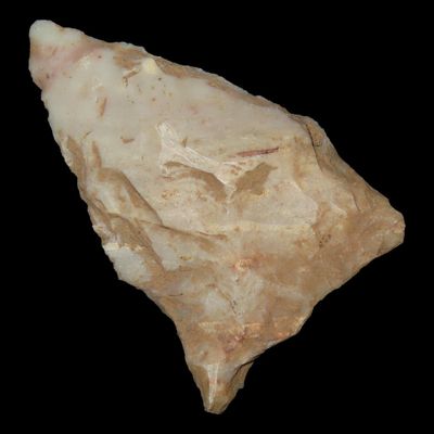 Sale Photo Thumbnail #762: 1 1/2" Dalton, Springfield, Missouri, Found by Ronald Schumate, 10,000-9000 BP