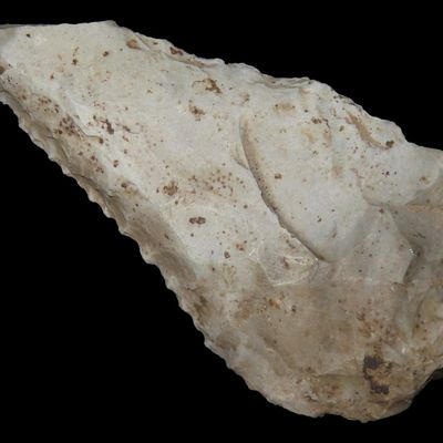 Sale Photo Thumbnail #742: 2 3/4" Wildly Serrated Cobbs, Northern Illinois, Ex. Scott Carruthers