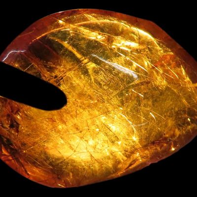 Sale Photo Thumbnail #275: 1 1/2" Fossil Amber, Found in Europe, Ex. Private Pennsylvania Collection