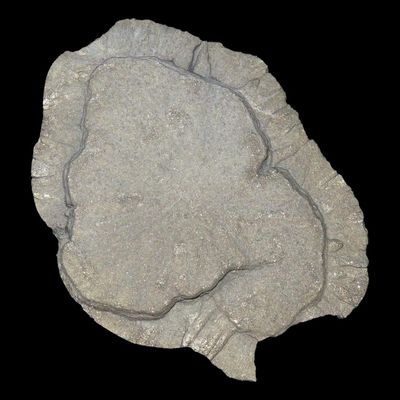 Sale Photo Thumbnail #717: 2 1/2" Miner's Dollar, Marissa Mine, Marissa, Illinois